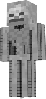 squelette