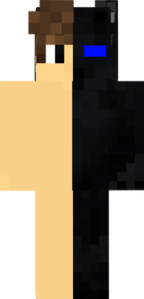 dnv 3