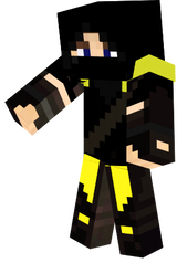 The_shimy_ninja