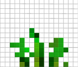 TomateStage3