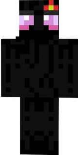Beginner ender girl skin