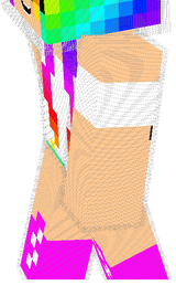 skin