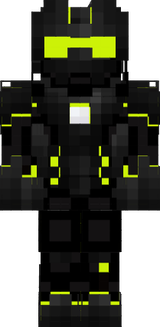 skin