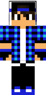 skin 1