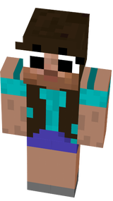 steve minebox