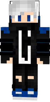 hw skin
