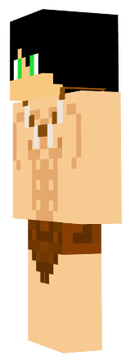 skin
