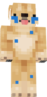 brecici doge
