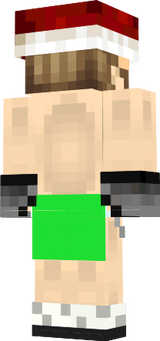 skin minecraft