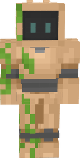 skin 4