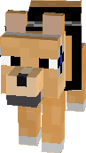 Kitteh_s2 Dog