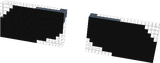 Black elytras