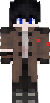 amir 13