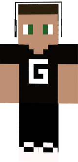 skin minecraft
