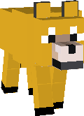 Cototco