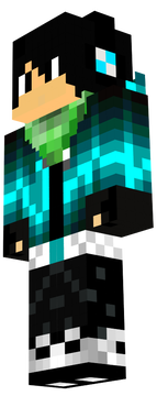 SKIN_BARRETINA