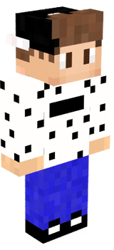 VizeBoy
