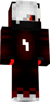 ninja 21111