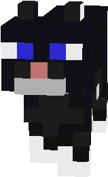 cat noir