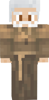 Disguise