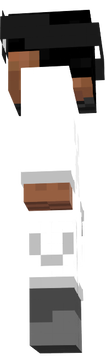 skin 2
