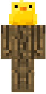 bird
