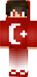 skin da tdt