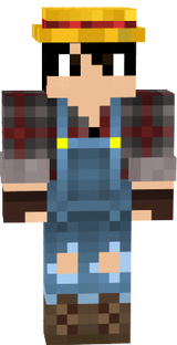 minecraft bauer skin