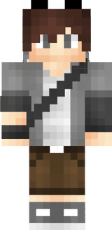 hs