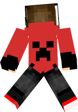 skin