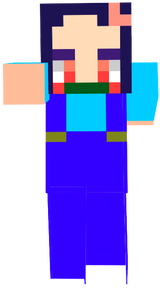 sklin