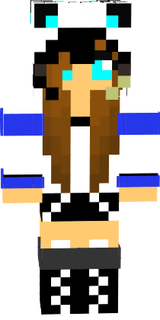 Minha skin pandinha