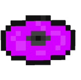 record_13