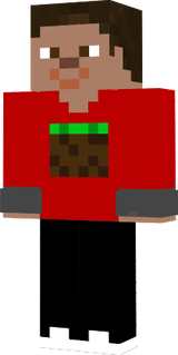 Minecratft Red Shirt boy