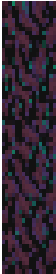 warped_stem