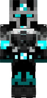 Skin 12