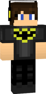 Batman Fan skin 4.4