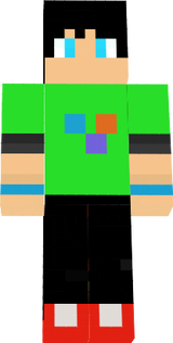 Skin