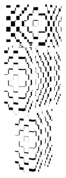 Transparent SKin