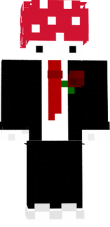 grzib 6