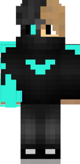 ErginPro