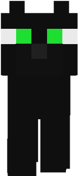 Black cat