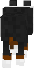Bernese Mountain Dog 2
