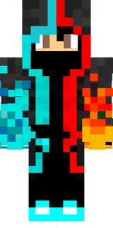 skin