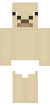 alpaca