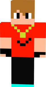 Terry_YOLO_GR
