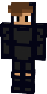 ninja 2