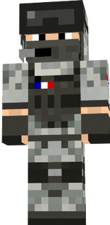 armée de terre