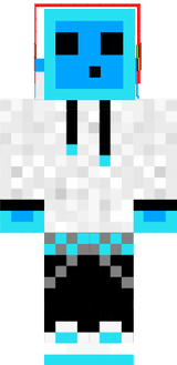 ds
