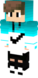 DEV SET